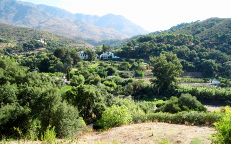 Villa in Acedia Valley